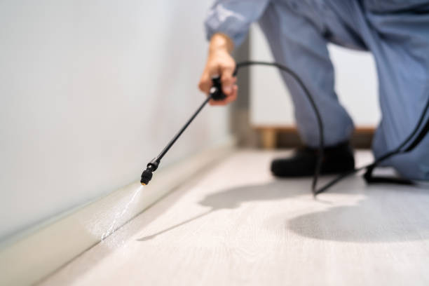 Licensed Termite Control service in Eudora, KS - Nex Pest Control