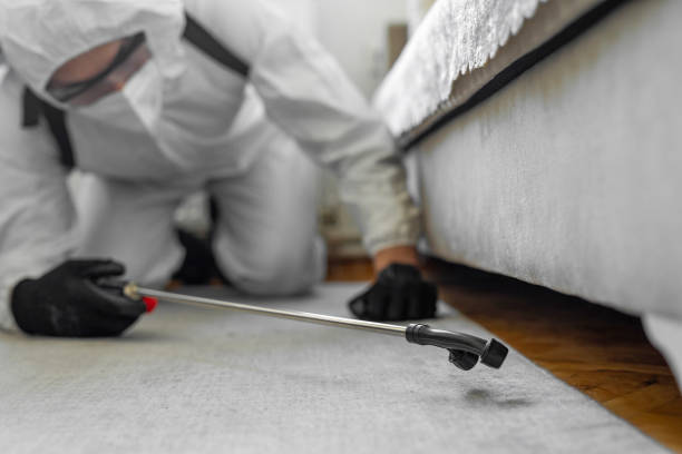 Professional Termite Control technician working in Eudora, KS