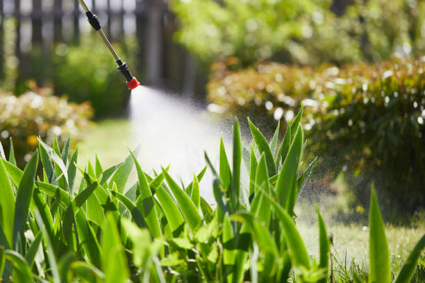 24/7 Emergency Termite Control experts in Eudora, KS