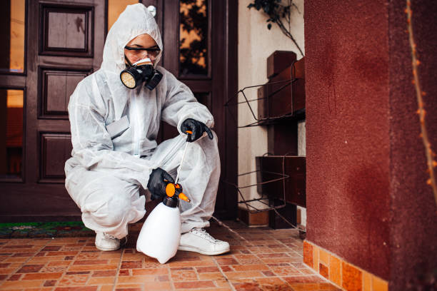 Reliable Termite Control contractor in Eudora, KS by Nex Pest Control