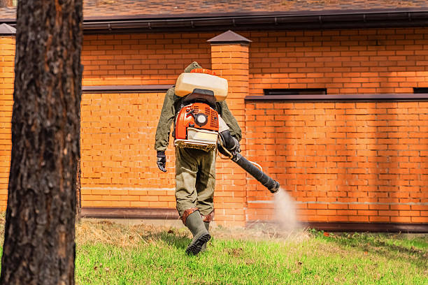 Top rated local Termite Control specialists in Eudora, KS